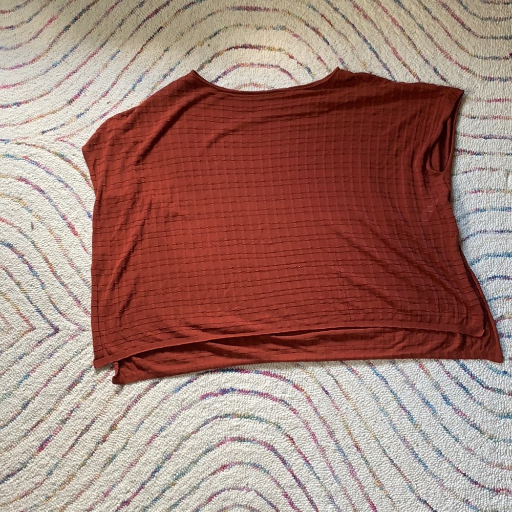 Orange sheer Eileen fisher top